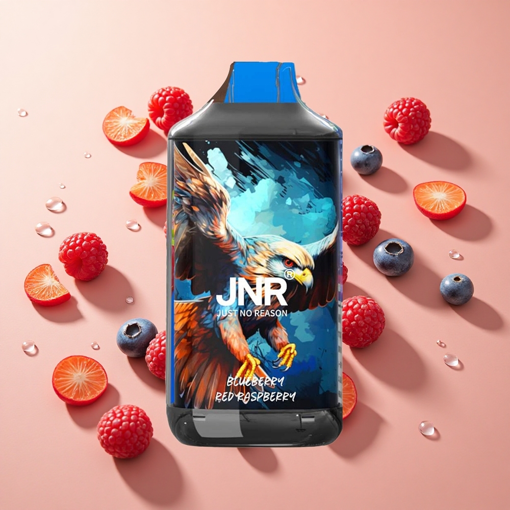 JNR Falcon 16000 Puffs אוכמנית פטל אדום סיטונאי ישראל טעון כפול סליל סוג C