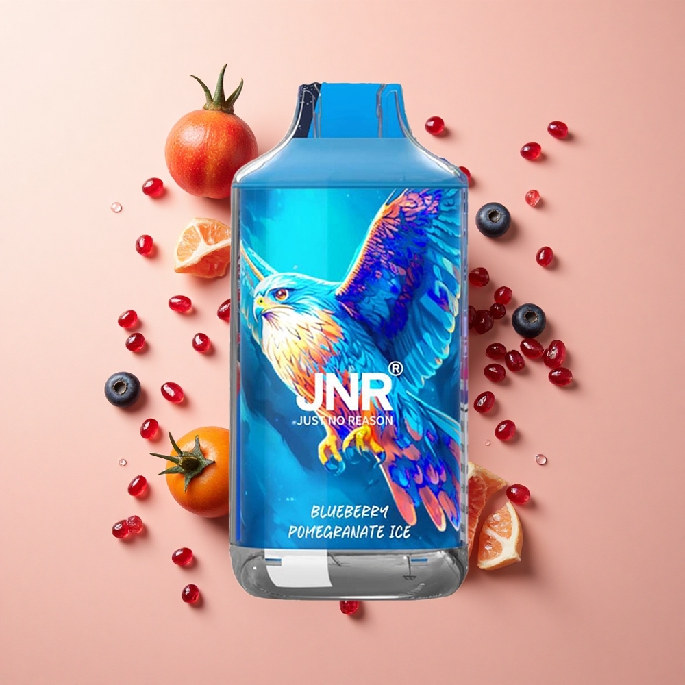 JNR Falcon 16000 Puffs אוכמניות רימון קרח wholesale Israel סוללה 850 mAh סוג סליל דואל משי