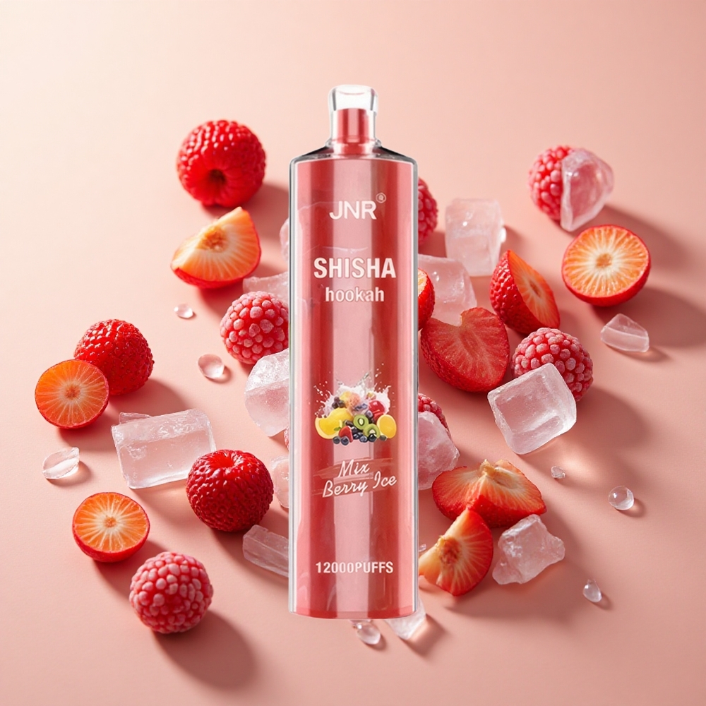 JNR Shisha Hookah 12000 Puffs פירות יער קרח wholesale Israel 24ml 750mAh