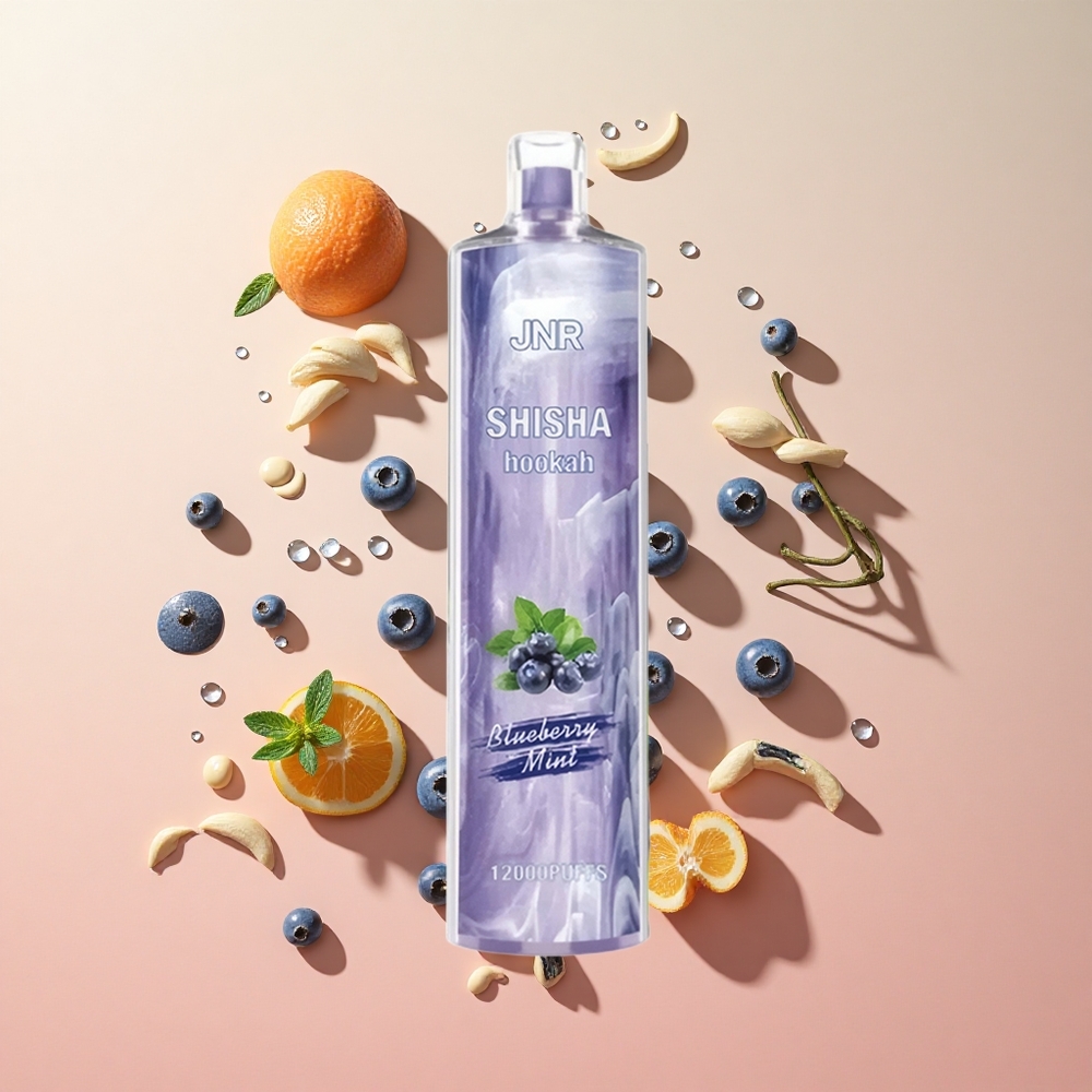 JNR Shisha Hookah 12000 Puffs מנטה אוכמניות wholesale Israel 750mAh 24ml