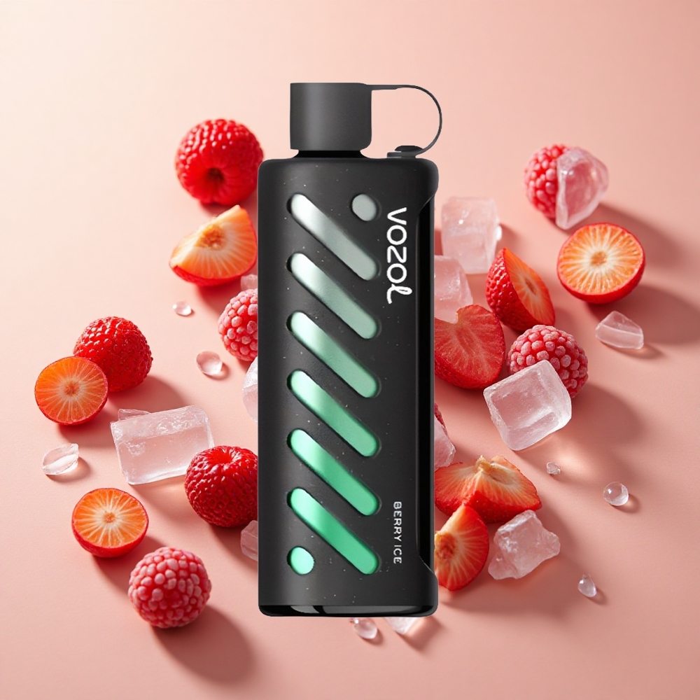 VOZOL Gear Shisha 25000 Puffs פירות יער קרח wholesale Israel S.i.L.C Tech Dual Mesh