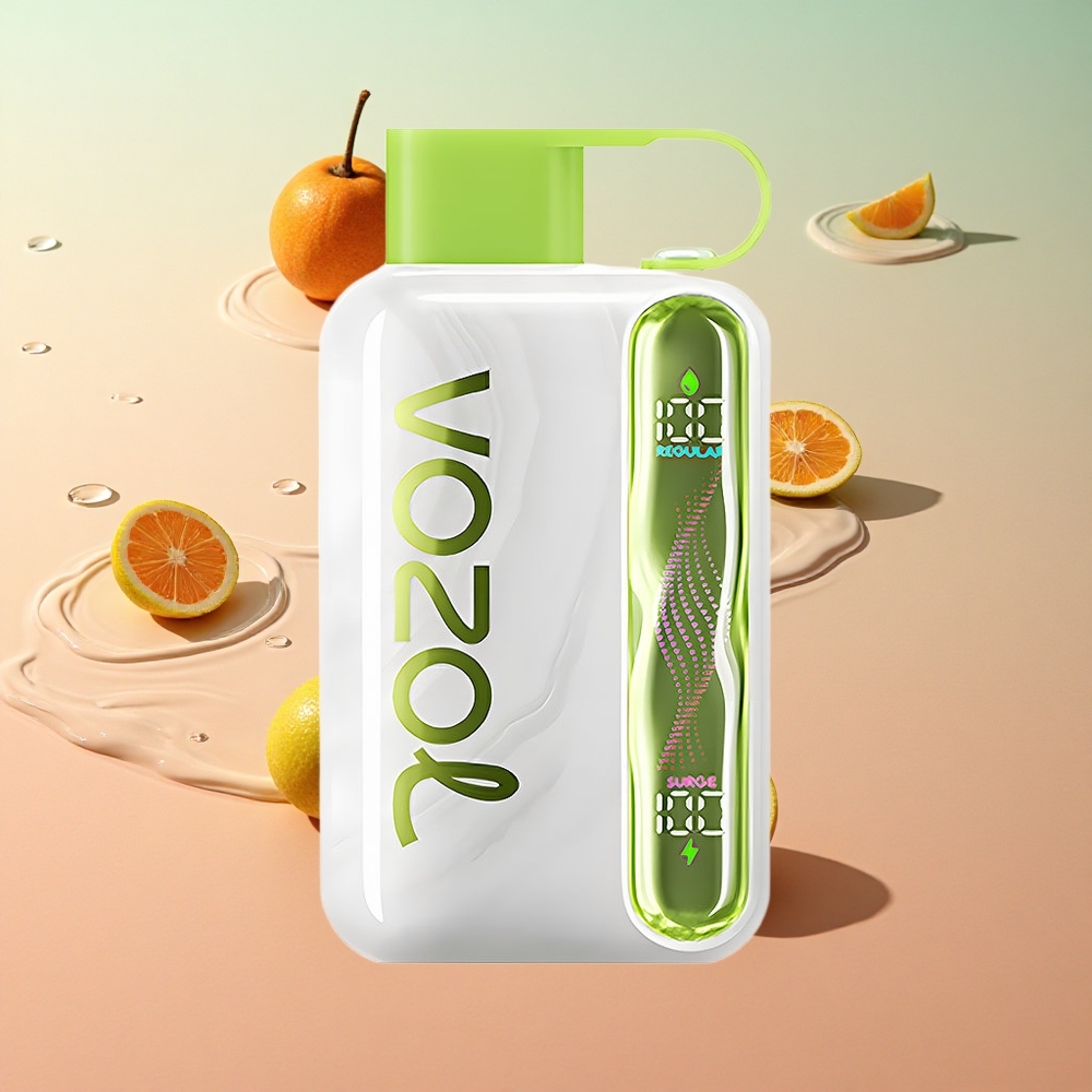 VOZOL STAR 40000 Puffs מנטה קריר סוללה 1000mAh סוג-C wholesale Israel